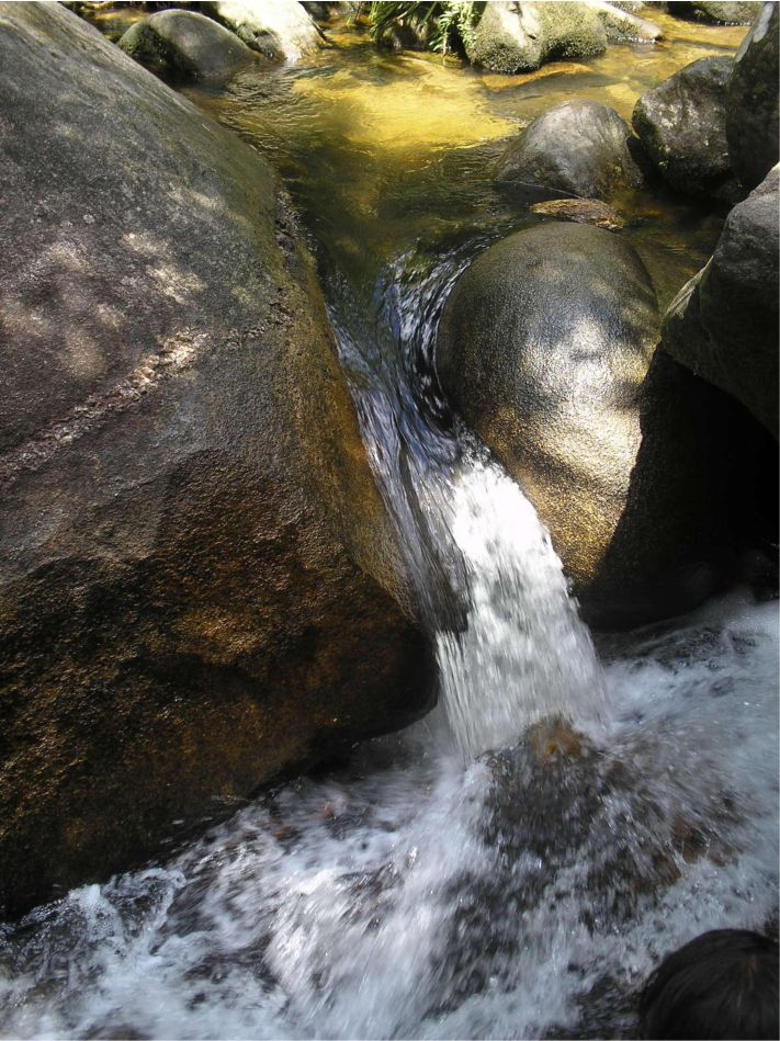 PEDRA QUE ENGOLE